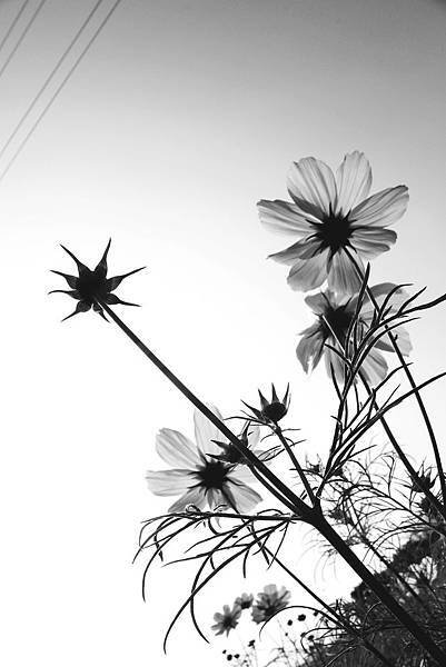 IMG_597503.jpg