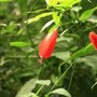 IMG_1911.jpg