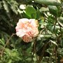 IMG_1925.jpg