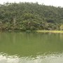 IMG_1987.jpg