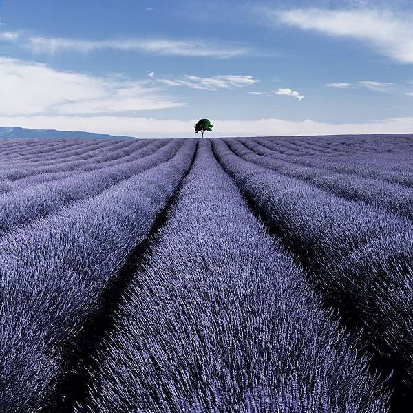 VALENSOLE.jpg