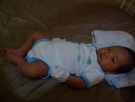 P1320120.jpg