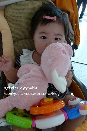 OP1230892.jpg