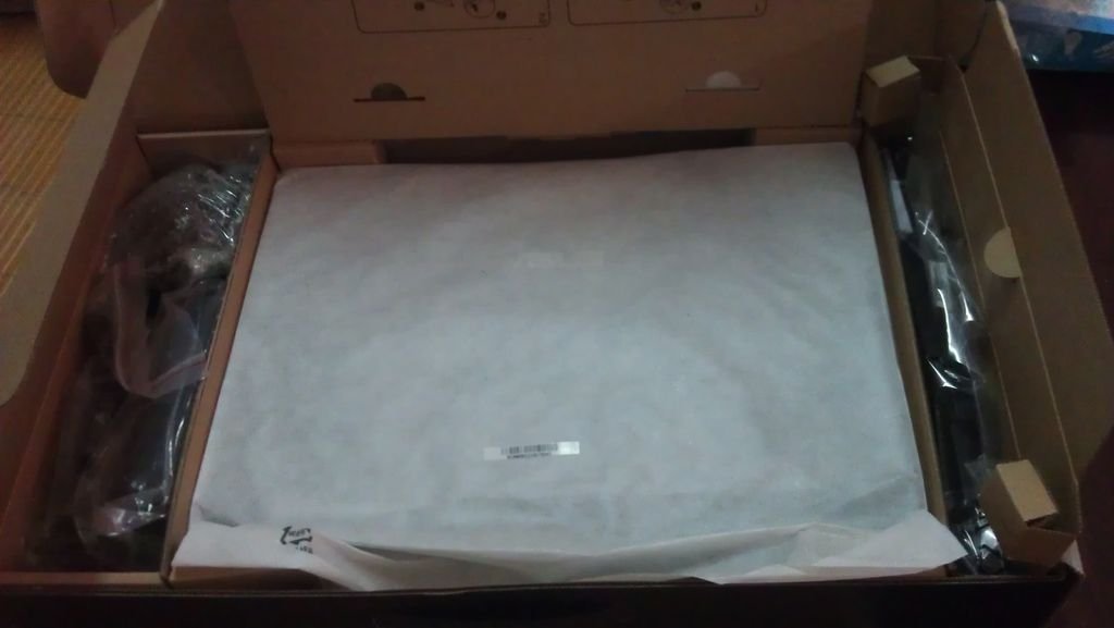 IMAG2533