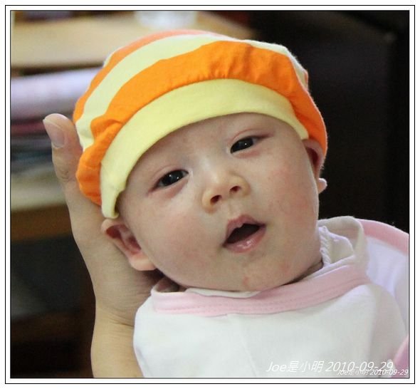 小蜜蜂.jpg