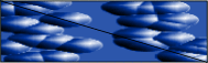 free-4.gif