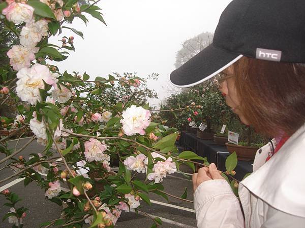 DSC08149