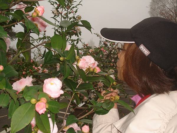 DSC08148