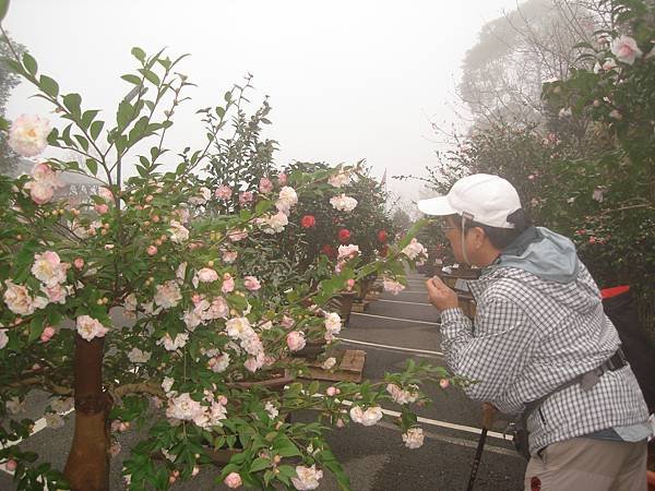 DSC08153