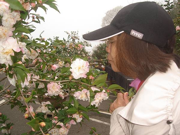 DSC08150