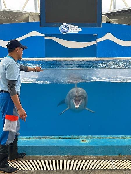 夜宿遠雄海洋公園小朋友最愛的活動  白天暢玩樂園 晚上在