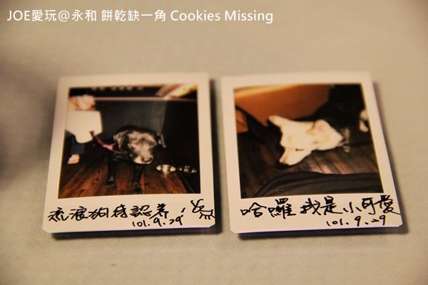 餅乾缺一角Cookies missingIMG_9809