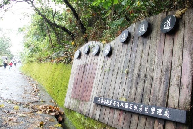 暖冬高雄IMG_2303