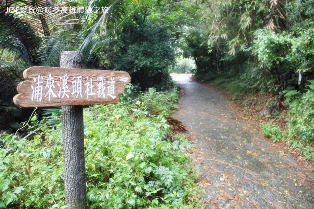 暖冬高雄IMG_2306