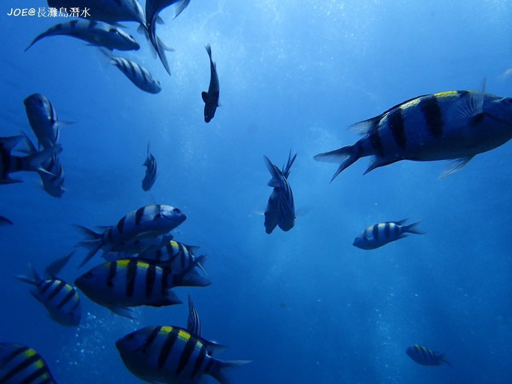 長灘島潛水