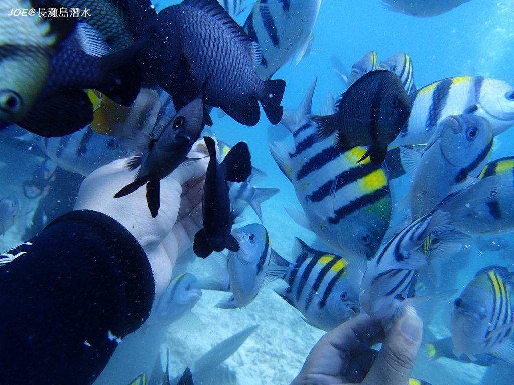 長灘島潛水