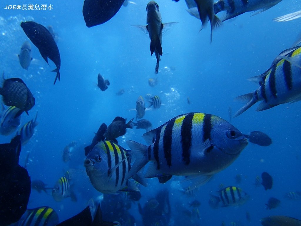 長灘島潛水