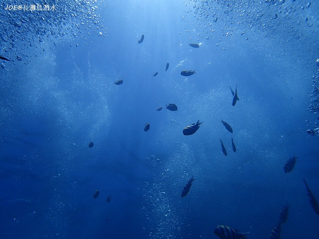 長灘島潛水