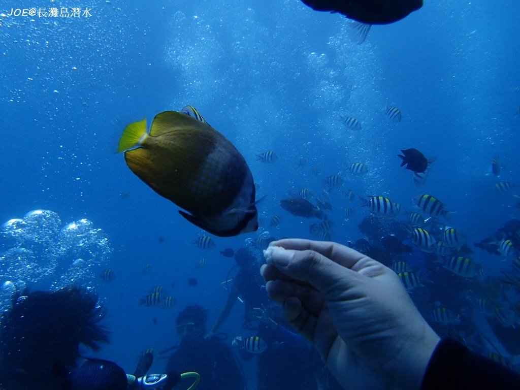 長灘島潛水