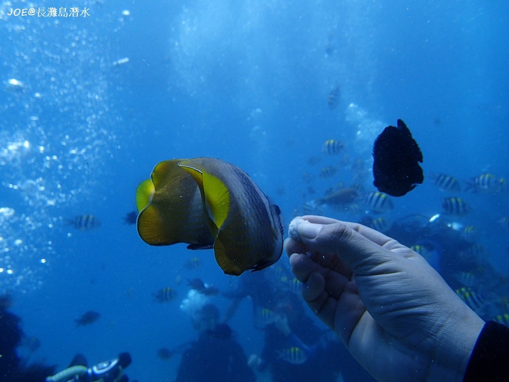 長灘島潛水