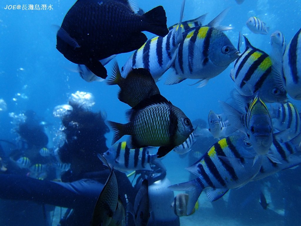 長灘島潛水