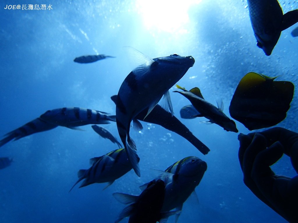 長灘島潛水