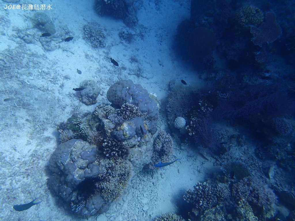 長灘島潛水