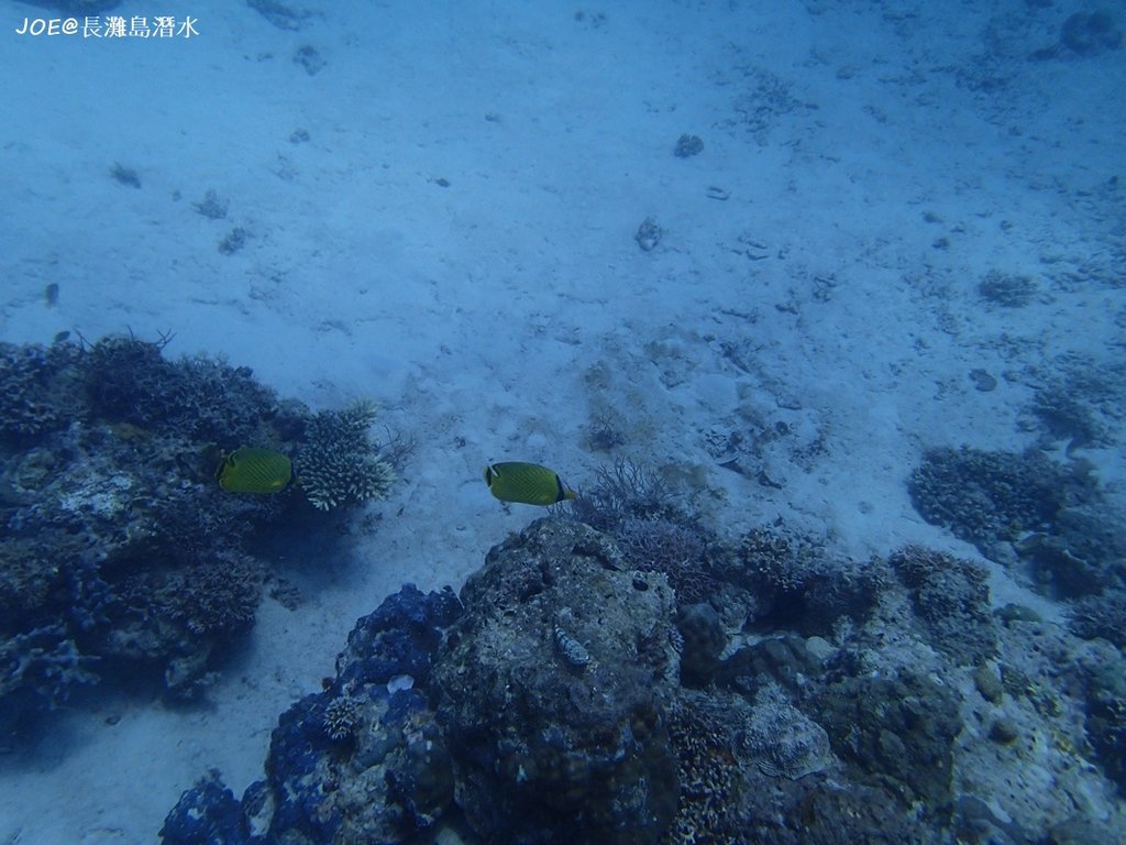 長灘島潛水