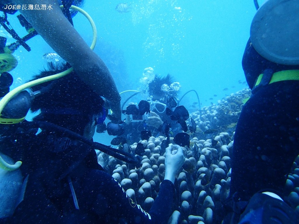 長灘島潛水