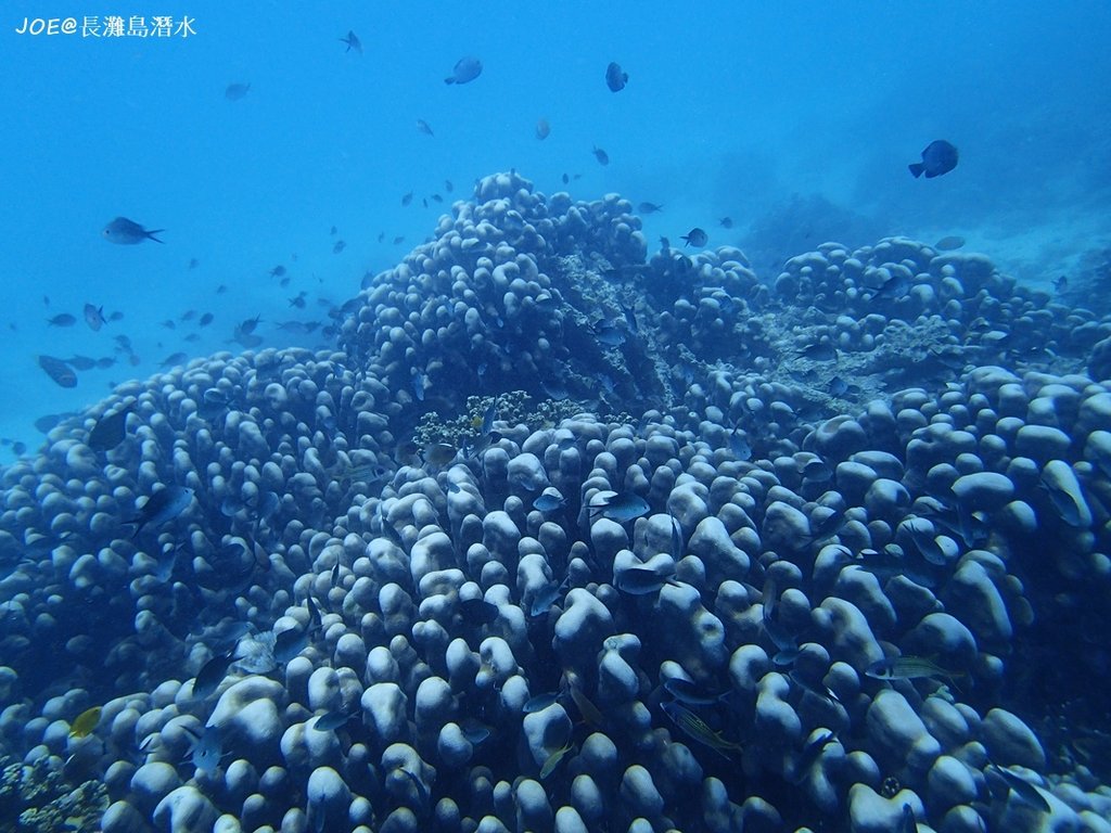 長灘島潛水