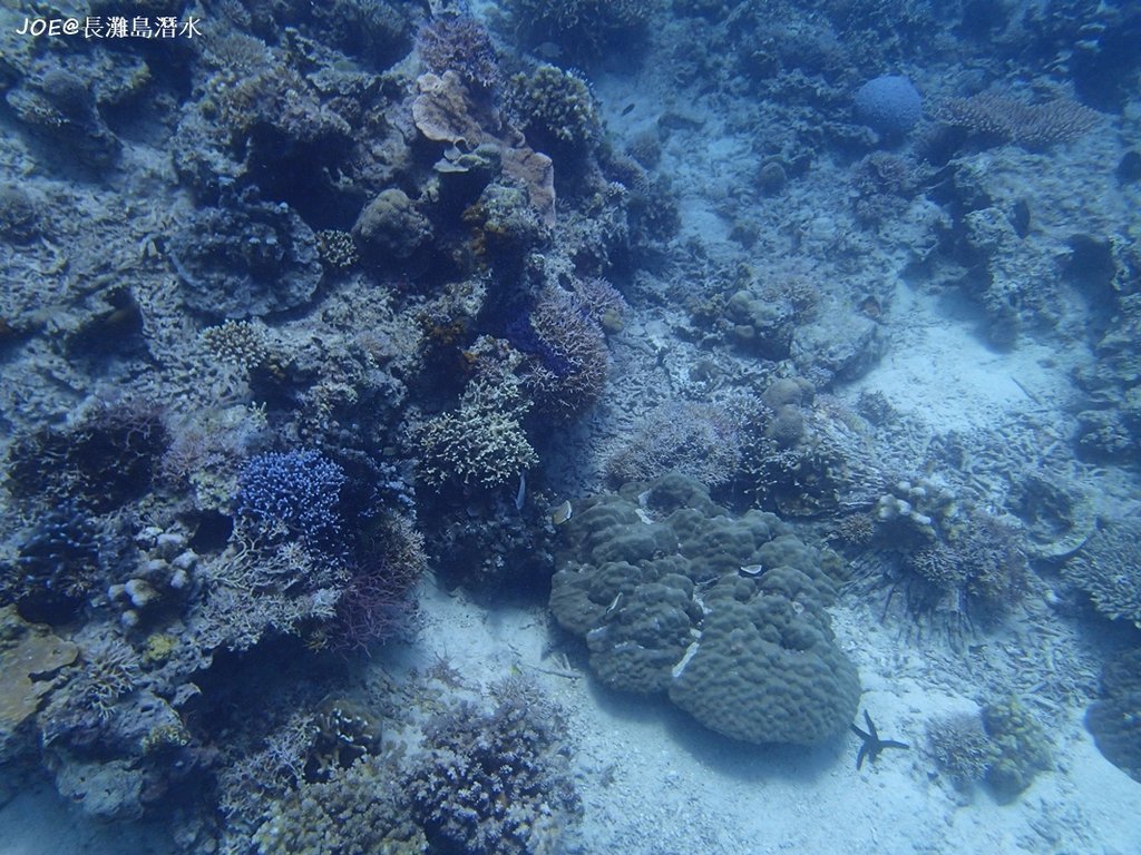 長灘島潛水