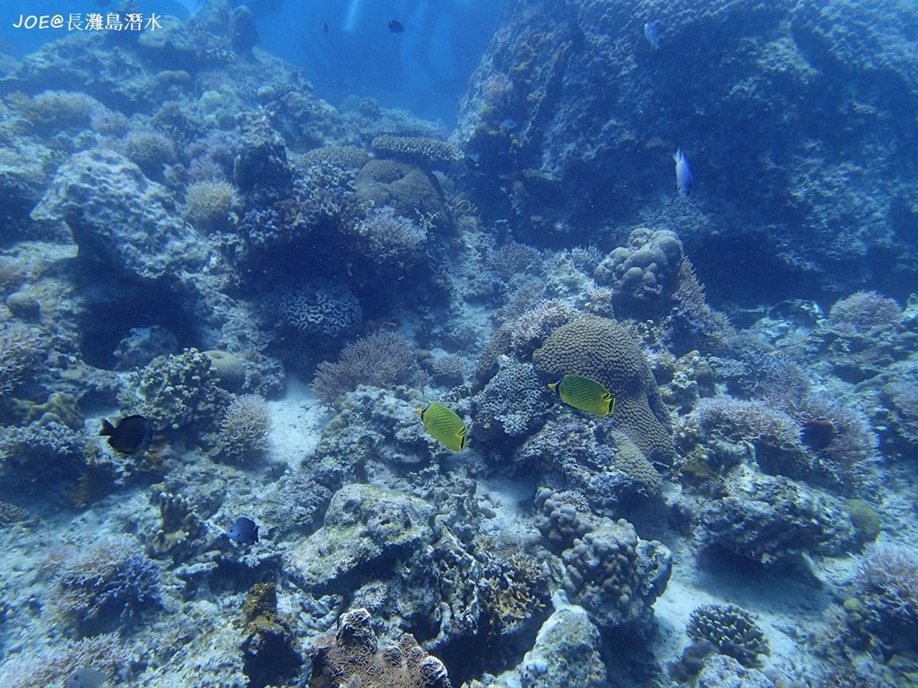 長灘島潛水