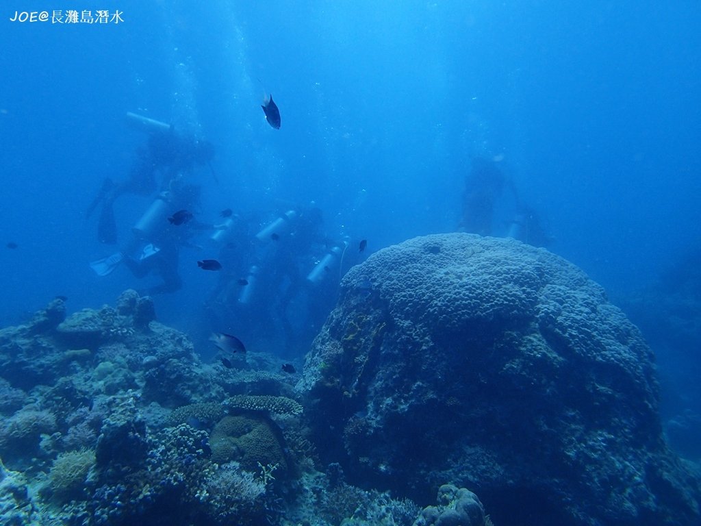 長灘島潛水