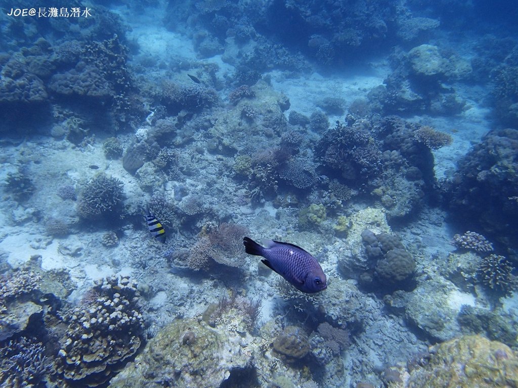 長灘島潛水