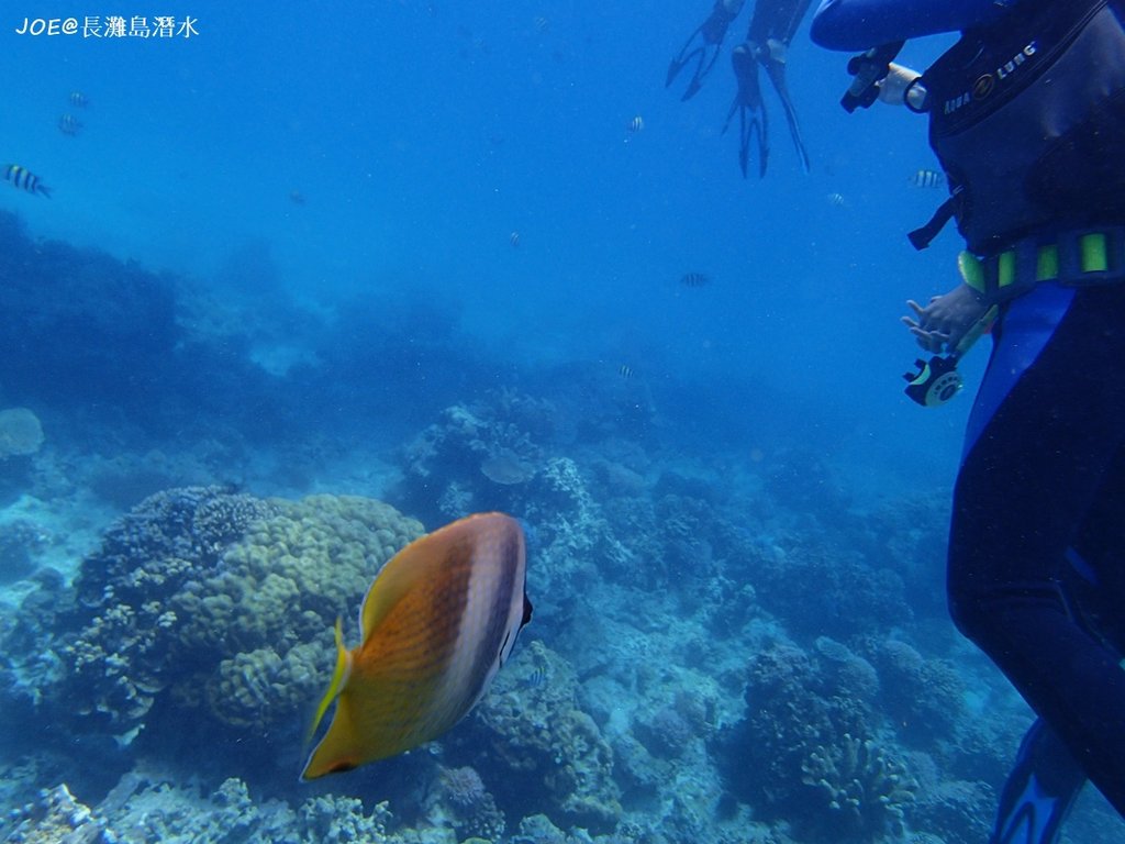 長灘島潛水