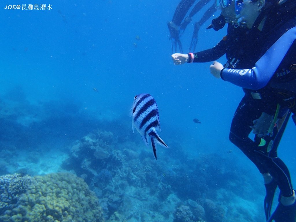 長灘島潛水