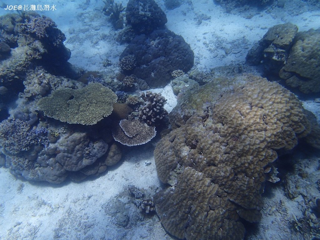 長灘島潛水