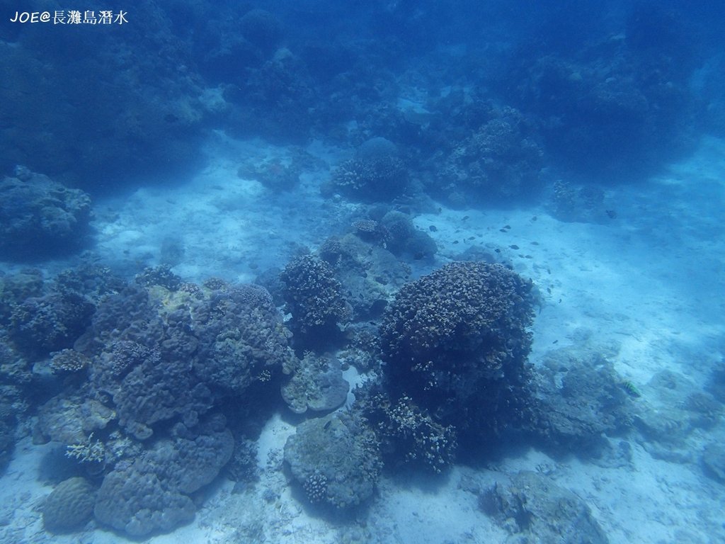 長灘島潛水