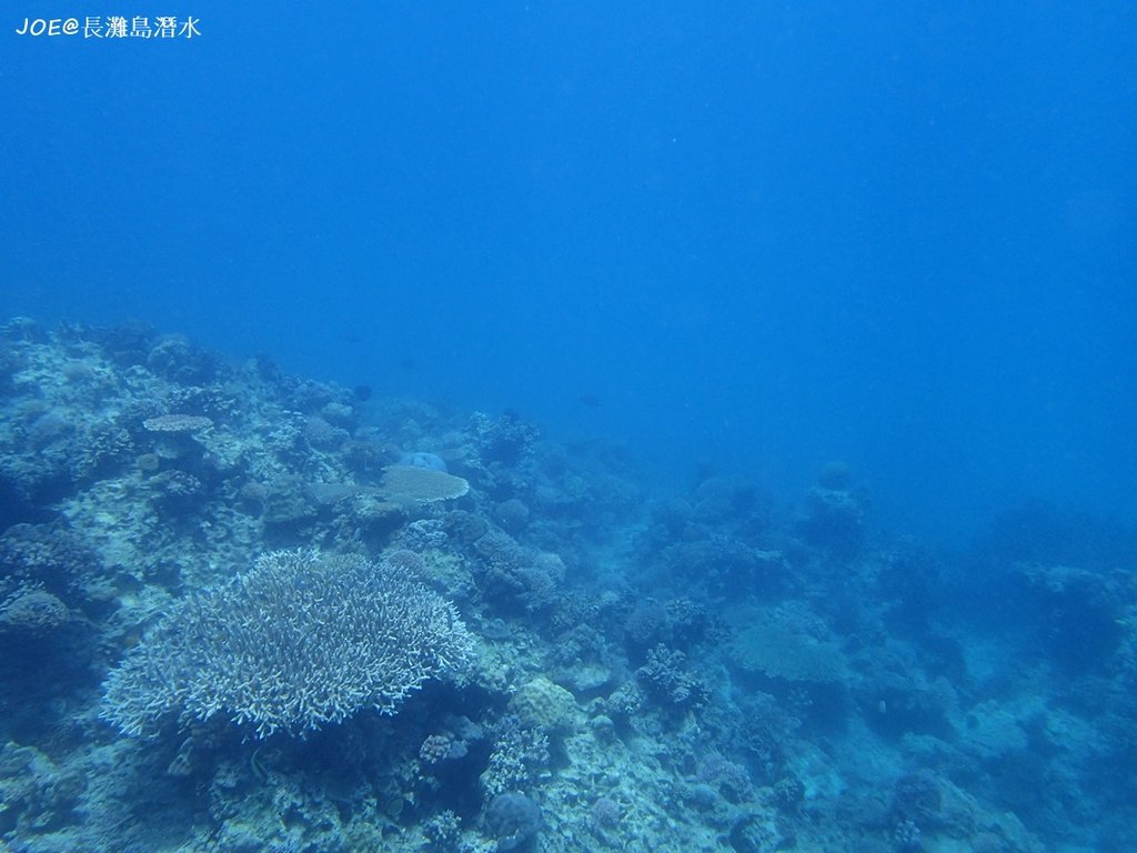 長灘島潛水