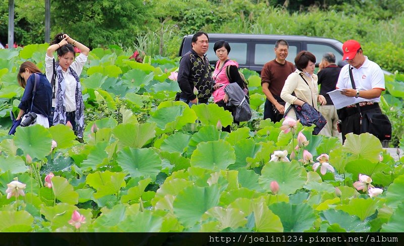 平溪雙溪小旅行