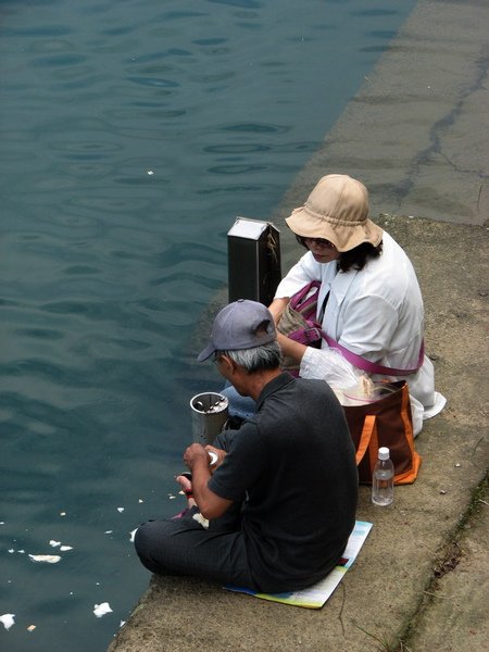 坪林15.jpg
