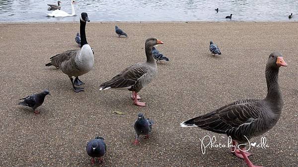 nEO_IMG_P1020360