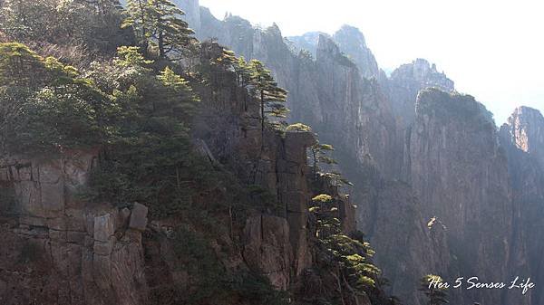 黃山 (28).jpg