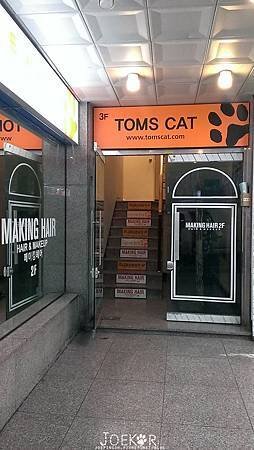 弘大貓咖啡廳TOMS CAT