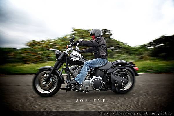 IMG_2805 (1)