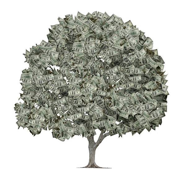 iStock_money tree