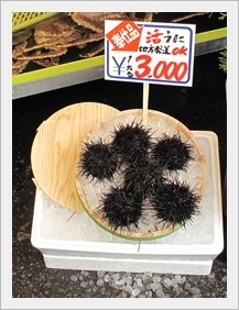 食16.JPG