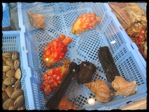 食07.JPG