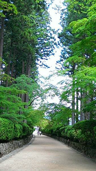 CYMERA_20140609_122708