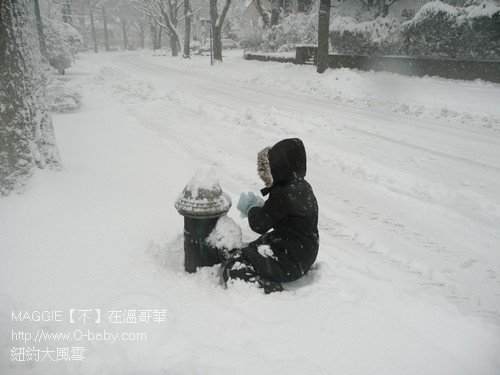 紐約大風雪 08.jpg